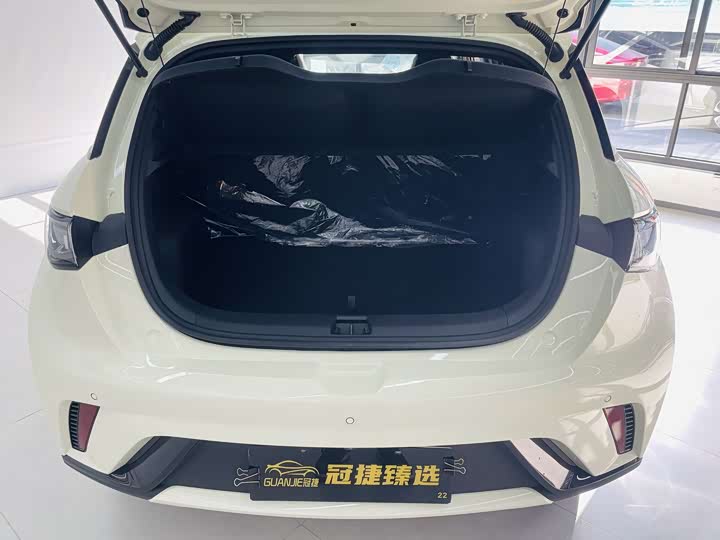 Фото 13 - BYD Dolphin