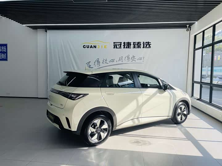 Фото 15 - BYD Dolphin