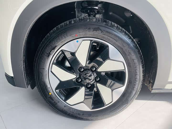 Фото 3 - BYD Dolphin