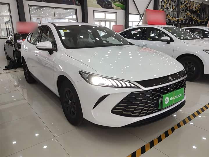 Фото 4 - BYD Qin Plus