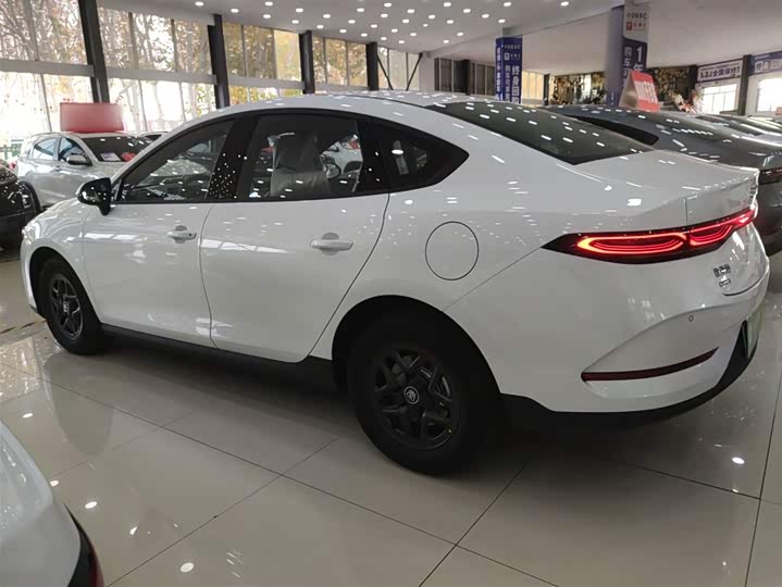 Фото 5 - BYD Qin Plus