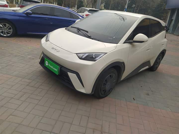 Фото 2 - BYD Seagull