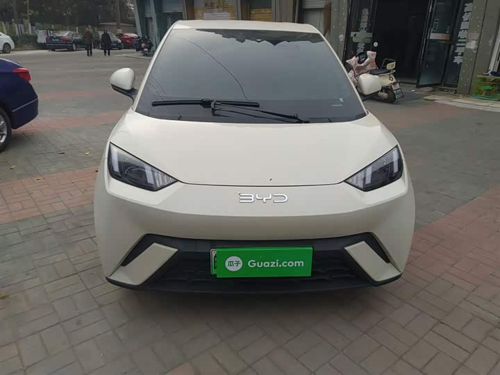 Фото 3 - BYD Seagull