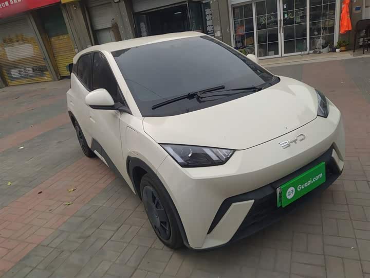 Фото 4 - BYD Seagull