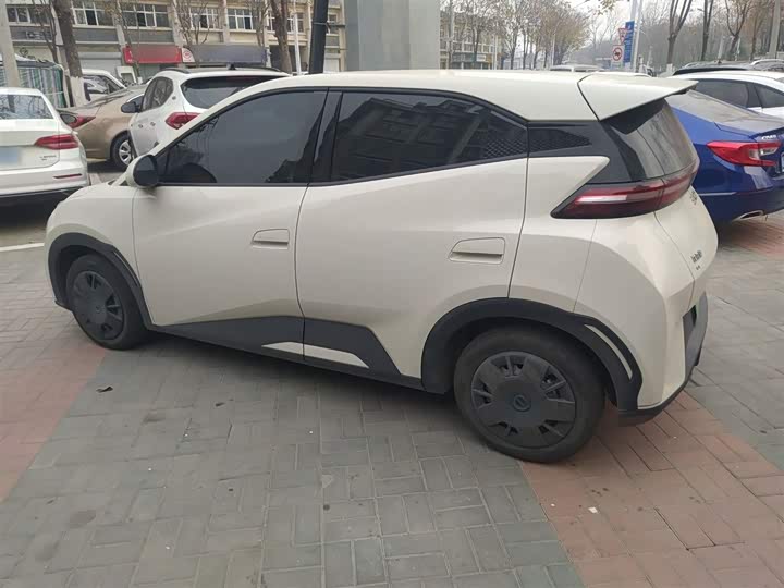 Фото 5 - BYD Seagull