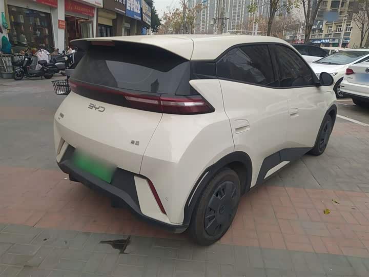 Фото 7 - BYD Seagull