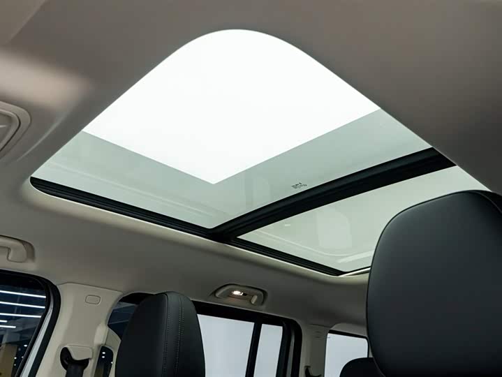 Фото 21 - Haval Raptor Hybrid