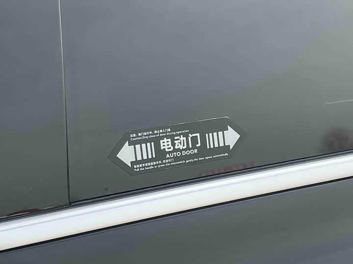 Фото 18 - Denza D9