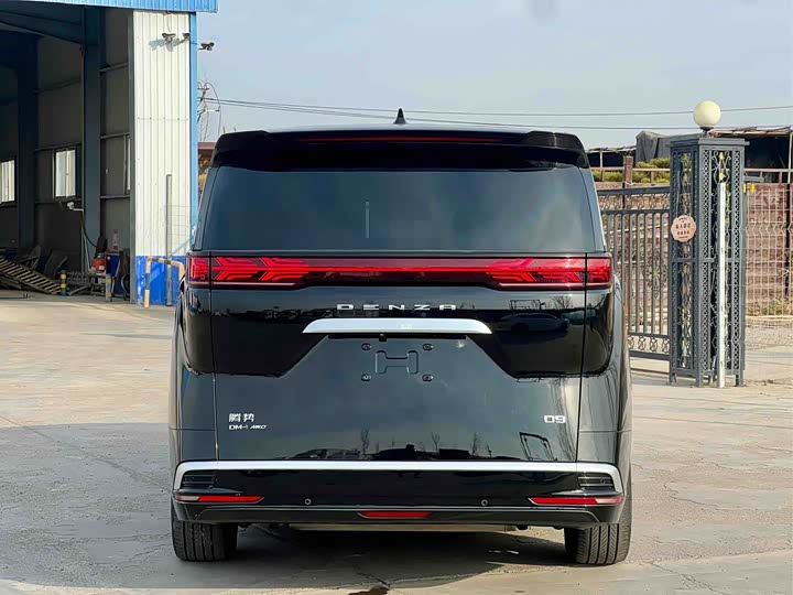 Фото 5 - Denza D9