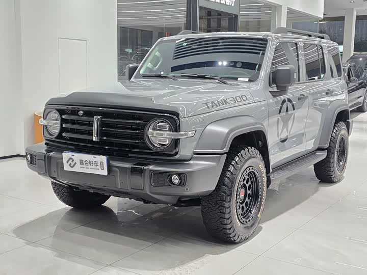 Фото 1 - Tank 300