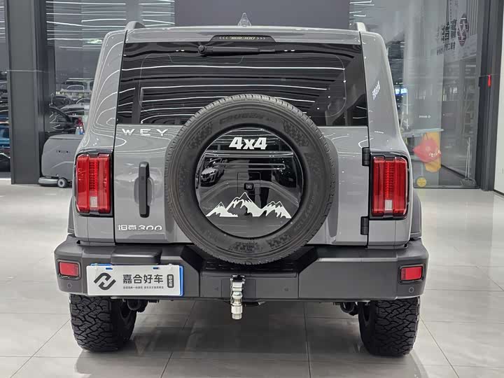 Фото 18 - Tank 300