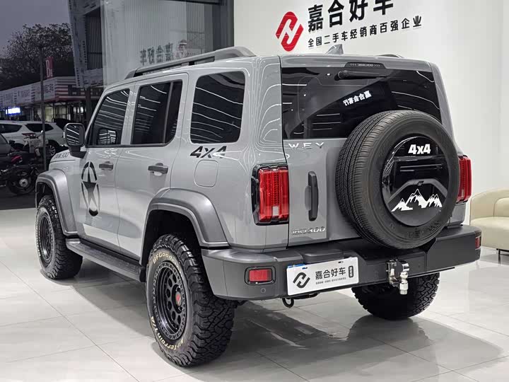 Фото 19 - Tank 300