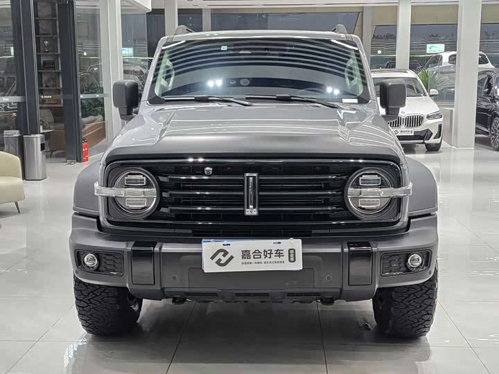 Фото 2 - Tank 300