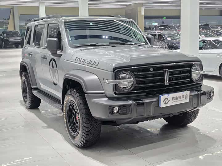 Фото 3 - Tank 300