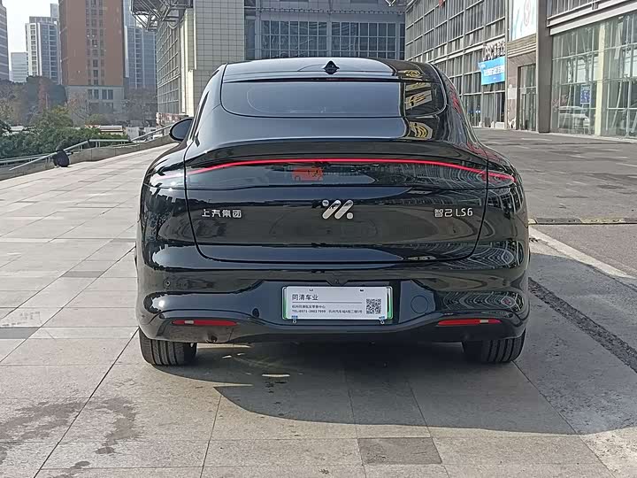 Фото 7 - IM motors LS6