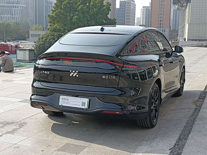 Фото 8 - IM motors LS6