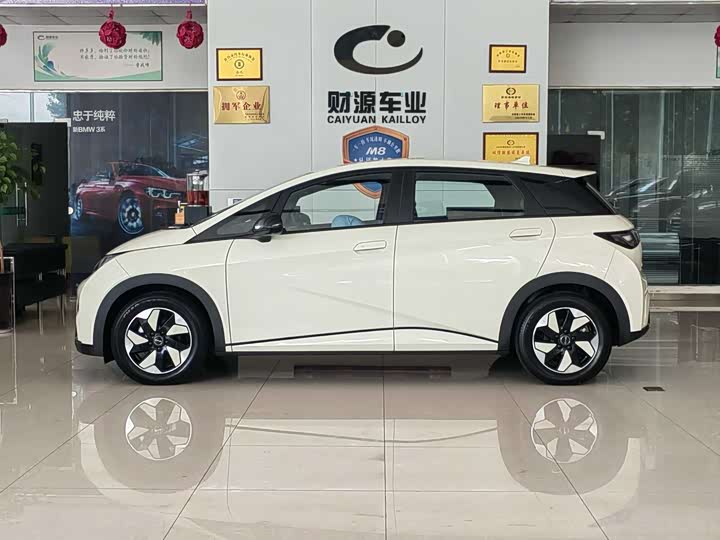 Фото 3 - BYD Dolphin