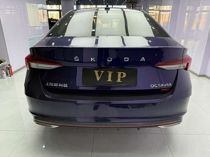 Фото 3 - Skoda Octavia Pro