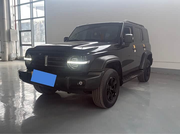 Фото 1 - Tank 300