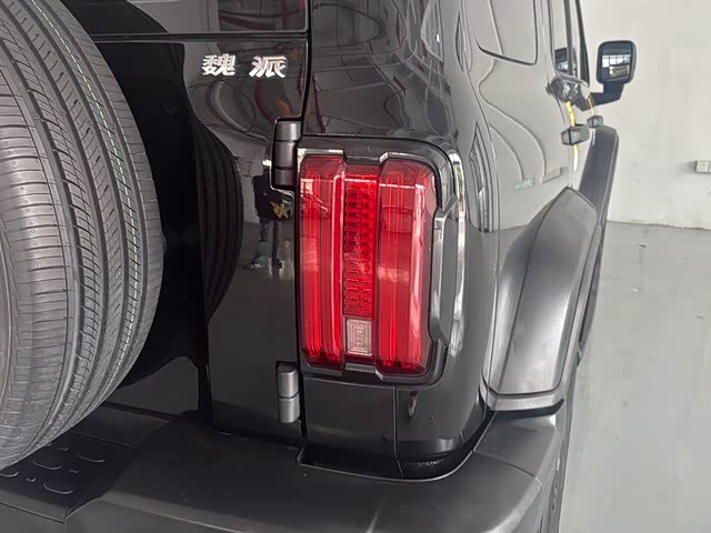 Фото 19 - Tank 300