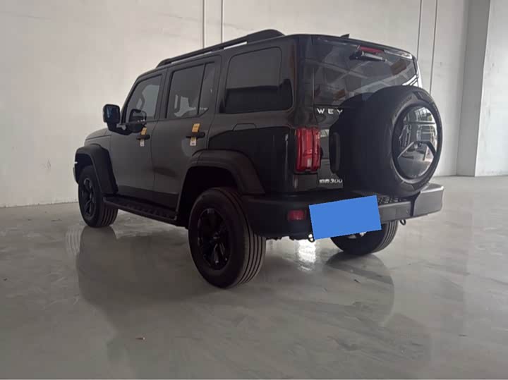 Фото 7 - Tank 300