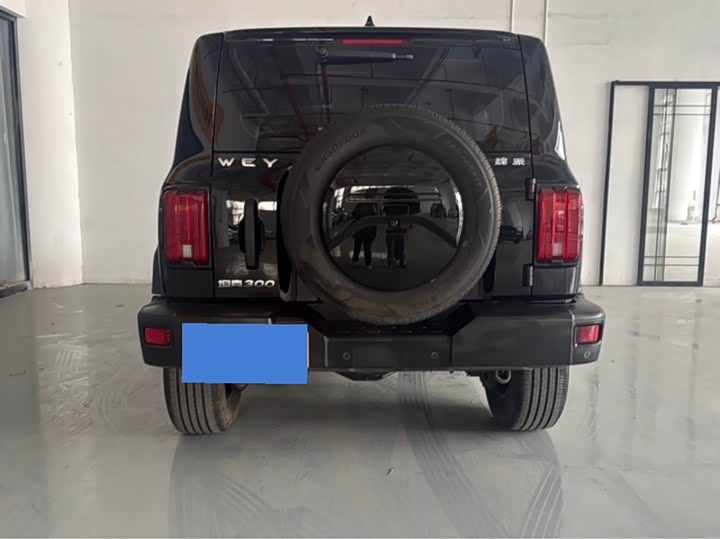 Фото 9 - Tank 300