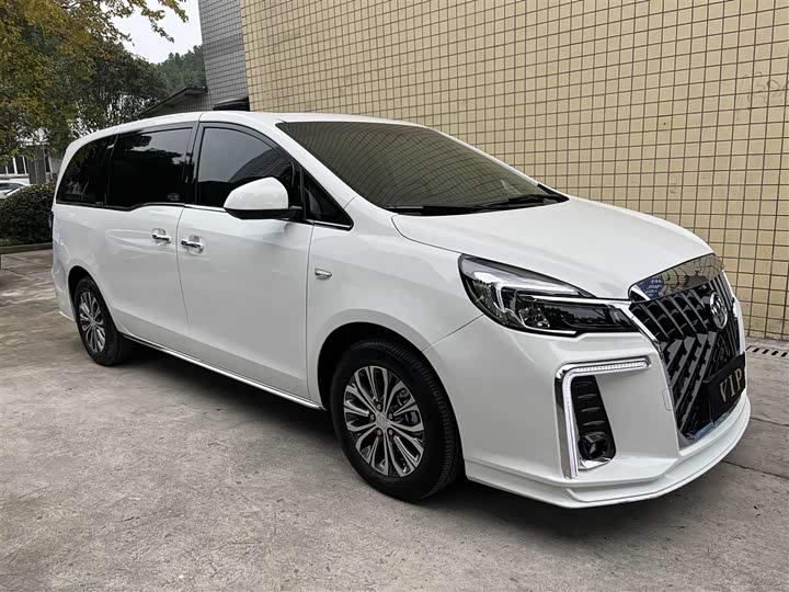 Фото 4 - Buick GL8 ES