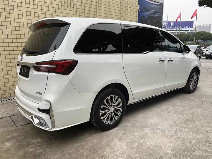 Фото 5 - Buick GL8 ES