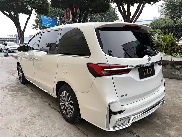 Фото 6 - Buick GL8 ES