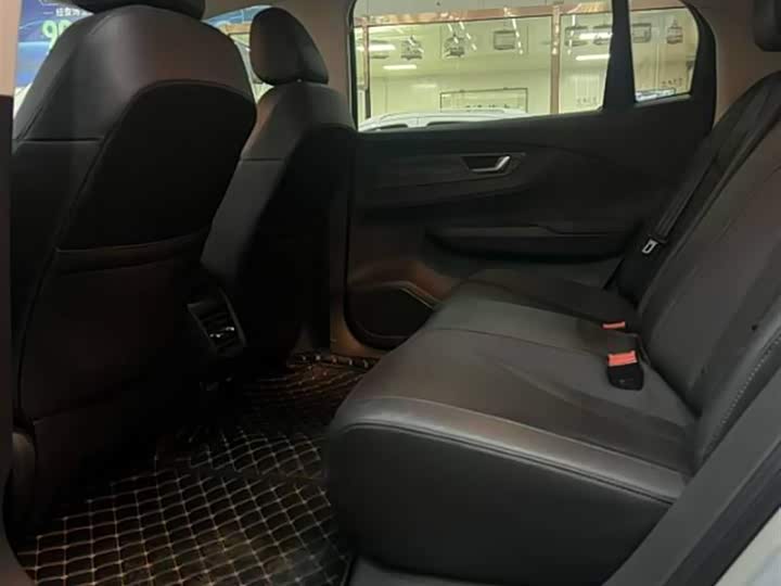 Фото 7 - Hongqi E-QM5