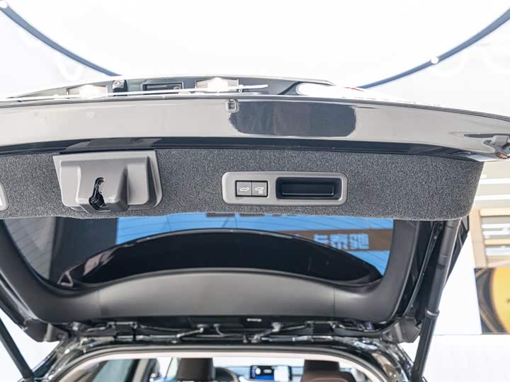 Фото 10 - Lexus RX