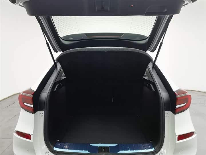 Фото 16 - Honda Avancier