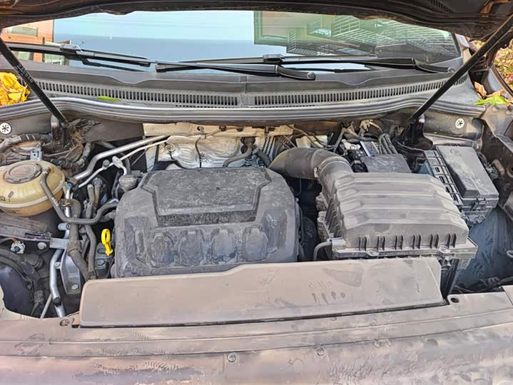 Фото 10 - Volkswagen Viloran