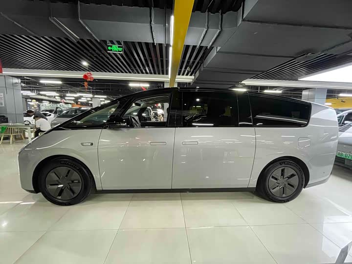 Фото 3 - LiXiang Mega