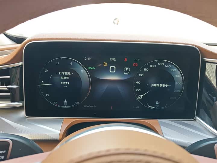 Фото 4 - Hongqi H9