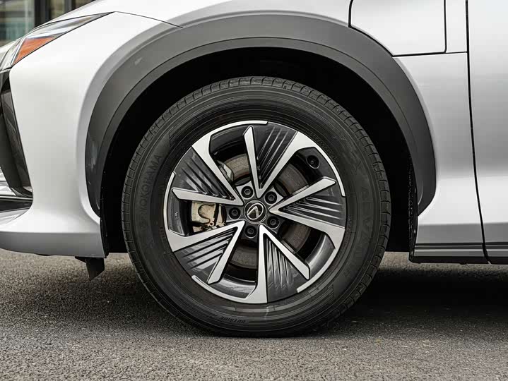 Фото 8 - Lexus RZ