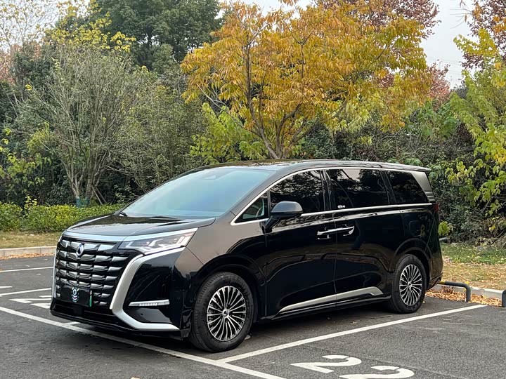 Фото 1 - Denza D9