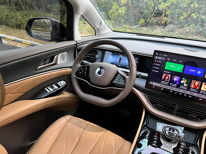 Фото 10 - Denza D9