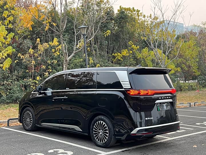 Фото 13 - Denza D9