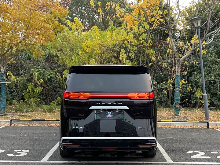 Фото 14 - Denza D9