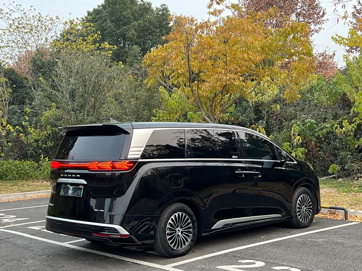 Фото 15 - Denza D9