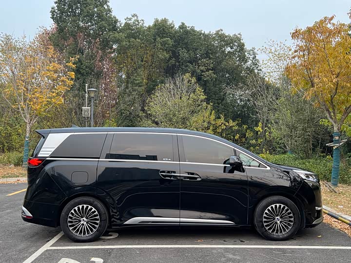 Фото 16 - Denza D9