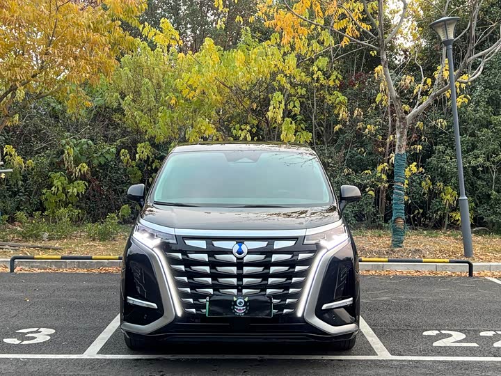 Фото 2 - Denza D9