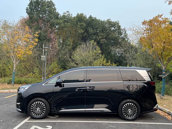 Фото 4 - Denza D9