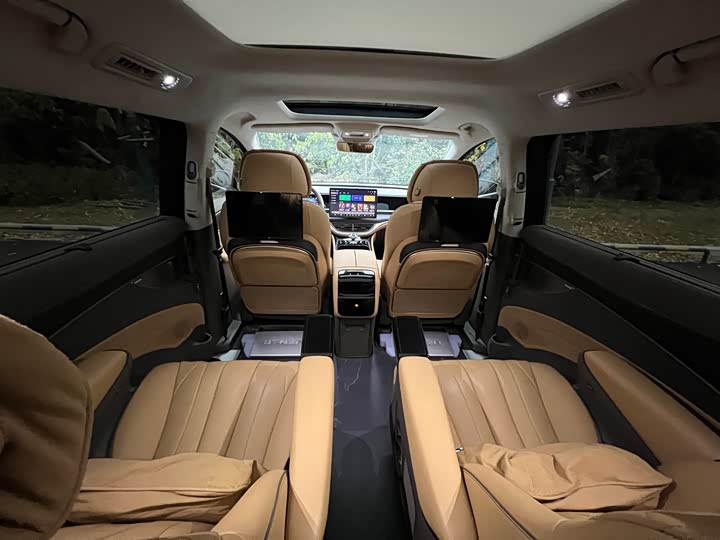 Фото 8 - Denza D9