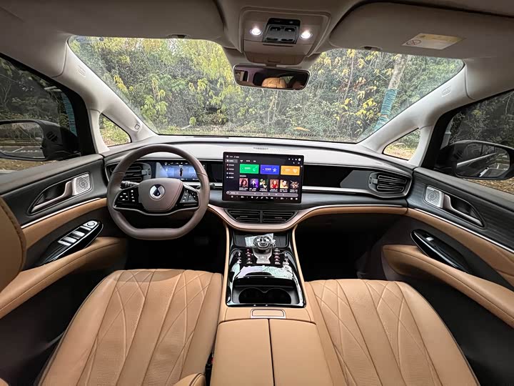 Фото 9 - Denza D9