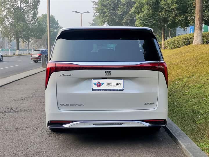 Фото 5 - Buick GL8 Century