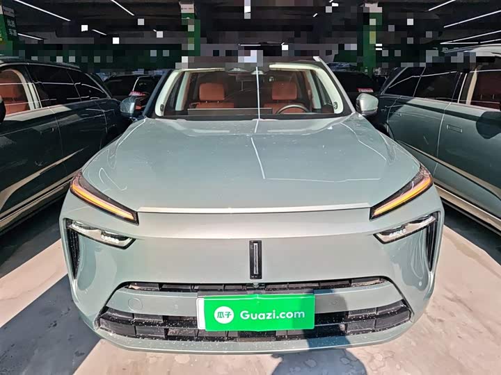 Фото 3 - Wey Lanshan