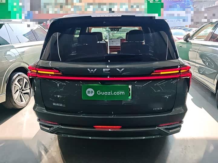 Фото 6 - Wey Lanshan