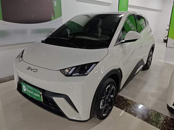 Фото 2 - BYD Seagull